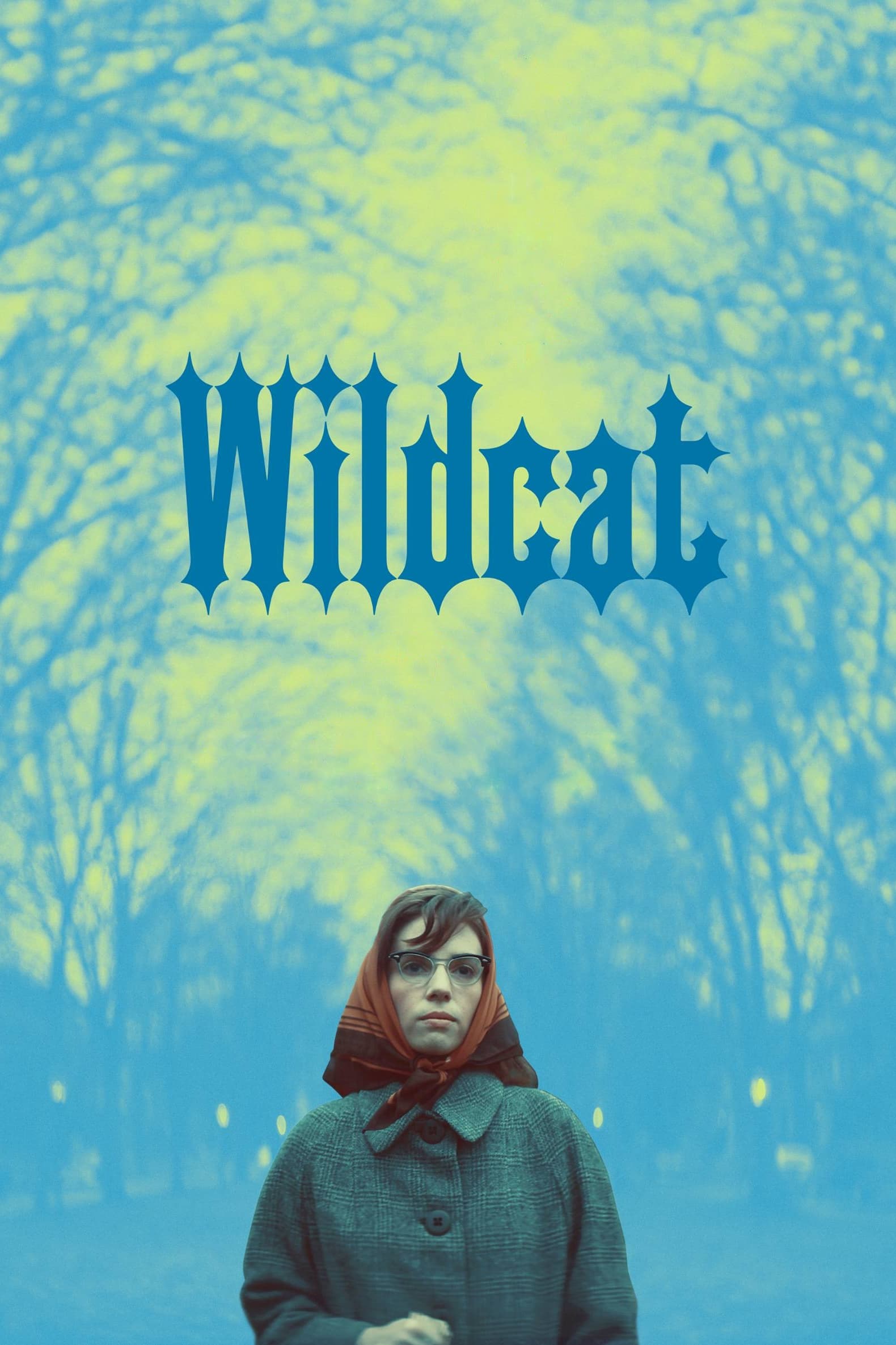 Постер Wildcat